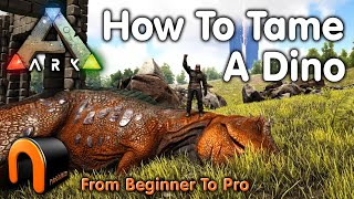 Ark HOW TO TAME A DINOSAUR Everything You Need To Know To Start Taming In 2020 ARK [upl. by Noinatrad]