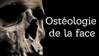 OSTEOPOROSE  tout savoir en 6 minutes [upl. by Annaiv]