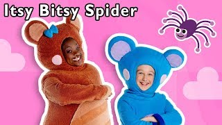 Itsy Bitsy Spider  More  Mother Goose Club Nursery Rhymes [upl. by Nueovas]