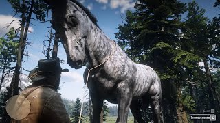 The biggest horse in Red Dead Redemption 2 [upl. by Zilevi]