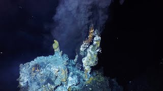 What are hydrothermal vents [upl. by Haugen]