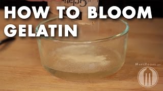 How to Bloom Gelatin  Tutorial Video [upl. by Annim296]