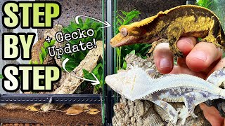 HOW TO SETUP A CRESTED GECKO VIVARIUM  GECKO UPDATE [upl. by Anitnerolf]