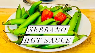 Green Serrano Pepper Hot Sauce  How to Make Easy and Delicious Homemade Hot Sauce [upl. by Opiak]