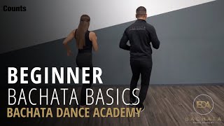 Bachata Beginner Basic Steps Tutorial  Demetrio amp Nicole  Bachata Dance Academy [upl. by Malka20]