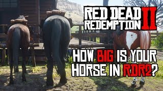 Red Dead Redemption 2 Horses  Size Comparison [upl. by Yk883]