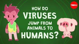 How do viruses jump from animals to humans  Ben Longdon [upl. by Range]