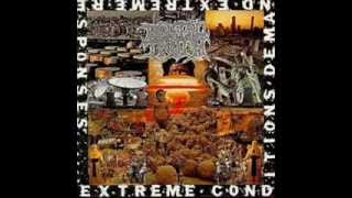 Brutal Truth  Extreme Conditions Demand Extreme Responses 1992 Full Album [upl. by Odarnoc]