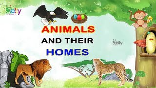 Animals and Their Home Names For Kids In English  Animal Homes  Homes of Animals and Birds [upl. by Atik570]