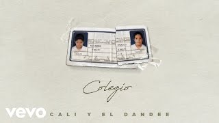 Cali Y El Dandee  Solamente Tú Official Audio [upl. by Zilevi]