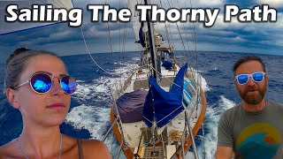 Sailing The Thorny Path  S5E31 [upl. by Bili]