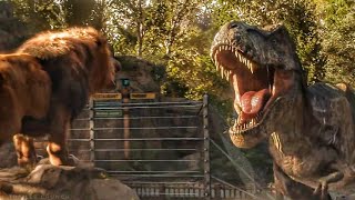 Dinosaur Adventure in the Desert  TRex Ranch 40 MINS of Kids Videos [upl. by Bergh]