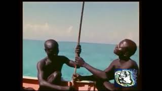 2018  Indian Ocean  North Sentinel Island  The Most Isolated Stone Age Tribe in the World  2311 [upl. by Mauldon855]