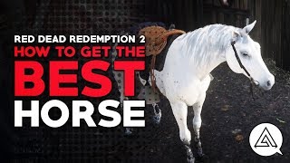 Red Dead Redemption 2  How To Get The CONFIRMED BEST amp FASTEST Horse In The Game RDR2 Best Horse [upl. by Elleinaj875]