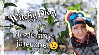 Witchyvlog Jeziorany jajeczne [upl. by Aleakim205]