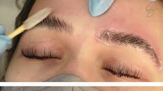 Eyebrow Lamination amp Henna Bee Eyebrow Tint in ONE service [upl. by Anig]