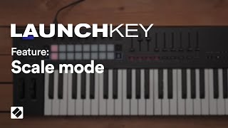 Launchkey MK3  Scale Mode  Novation [upl. by Anoek211]