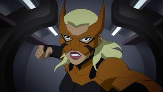 Tigress  All Fight amp Abilities Scenes  Young Justice S2S3 [upl. by Alderson]