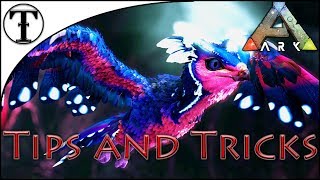 Fast Featherlight Taming Guide  Ark  Survival Evolved Tips and Tricks [upl. by Egroeg]