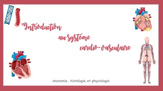 Introduction au système cardiovasculaire [upl. by Ycniuq]