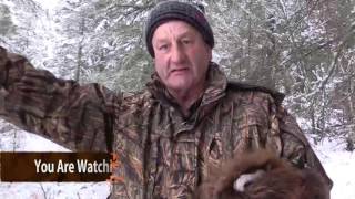 Trapping Inc Ep11 S2 Wolves With Morley Smith [upl. by Eceela]