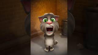 qwertyuiop asdfghjkl zxcvbnm talking angela [upl. by Phelps]