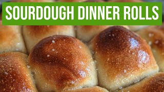 How to Make Sourdough Dinner Rolls  START TO FINISH [upl. by Akitahs]