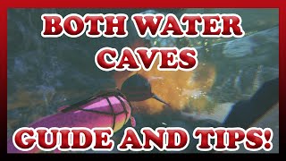 ARK  Both Water Caves  The Island  Guide and Tips  Official  Solo [upl. by Calmas321]