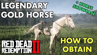 Legendary Gold Horse  Red Dead Redemption 2  How To Obtain Buell [upl. by Ardnac]