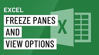 Excel Freeze Panes and View Options [upl. by Modestine35]